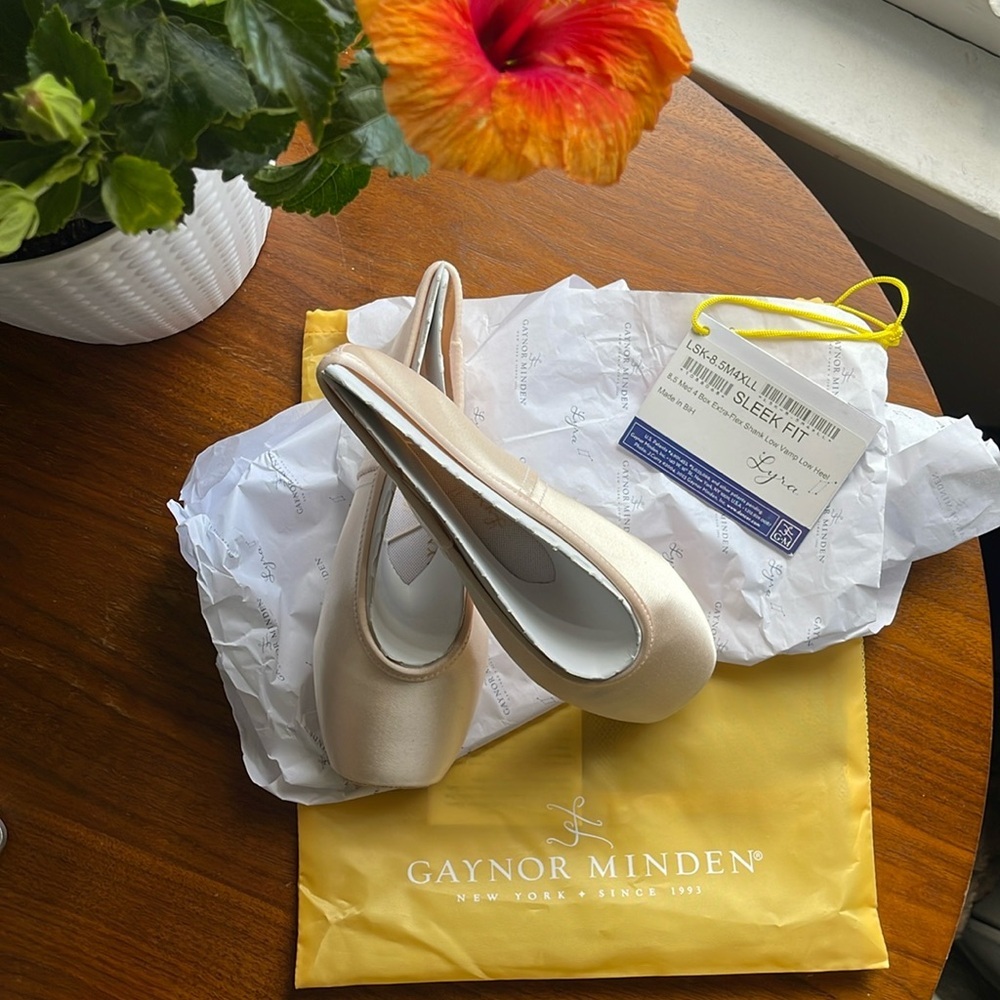 Gaynor Minden Pointe Shoes 8.5 M Sleek